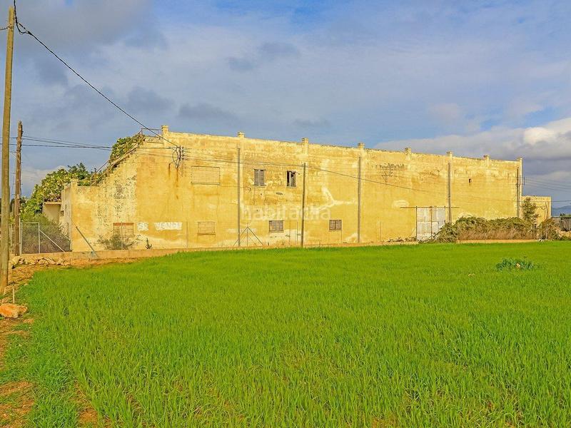 Foto f9e32460-a89b-4773-9ede-f4e5641de93c. Finca rústica a son morey 553 a Muro