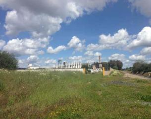 Terreny residencial a Alcolea del rio a-431 pk 95'00 carbonal sn. Terreno en venta