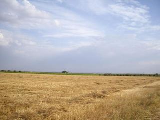 Rural plot  Arreburra. Terreno en venta