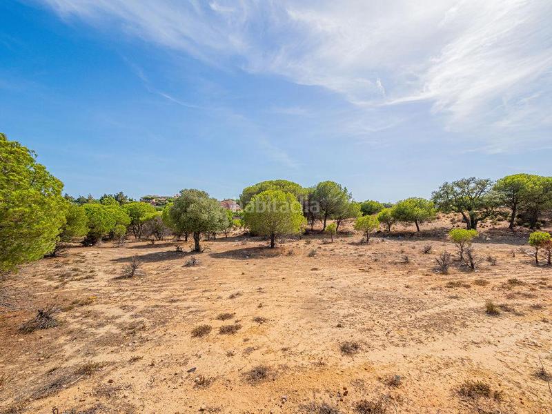 Foto 18f12c6f-67fc-4484-81d1-476d60c993b1. Terreno residenziale in Lepe