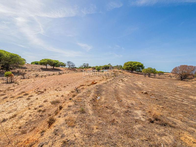 Foto aa8a2704-d5b9-4508-9451-1c8803469da8. Terreno residenziale in Lepe