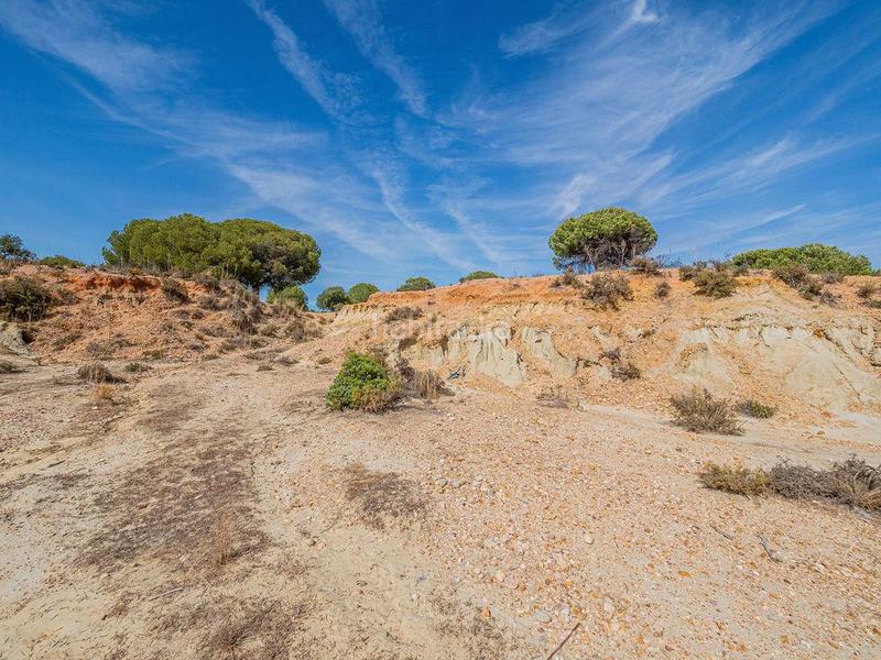 Foto aca6b7d3-5d44-4988-836b-f7398c1bb6f0. Terreno residenziale in Lepe