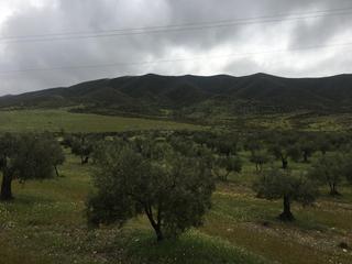 Propriété à Las tinajas poligono 32 s/n. Terreno en venta