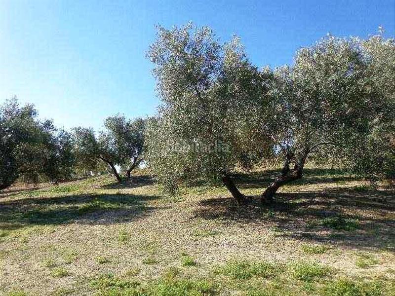 Foto 0e9482fe-a865-4e30-ae08-849df95835c4. Finca rústica a La Paz - Las Américas Linares