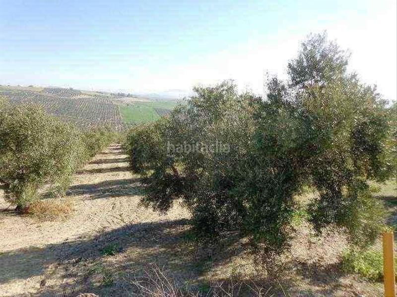 Foto 58529a36-6647-42f0-9244-083cf08b41d8. Finca rústica a La Paz - Las Américas Linares