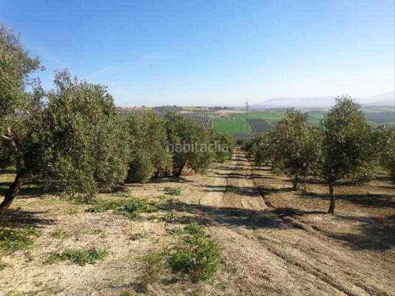 Foto 871cac40-1920-4cab-8aac-7b10bfb258e2. Finca rústica a La Paz - Las Américas Linares