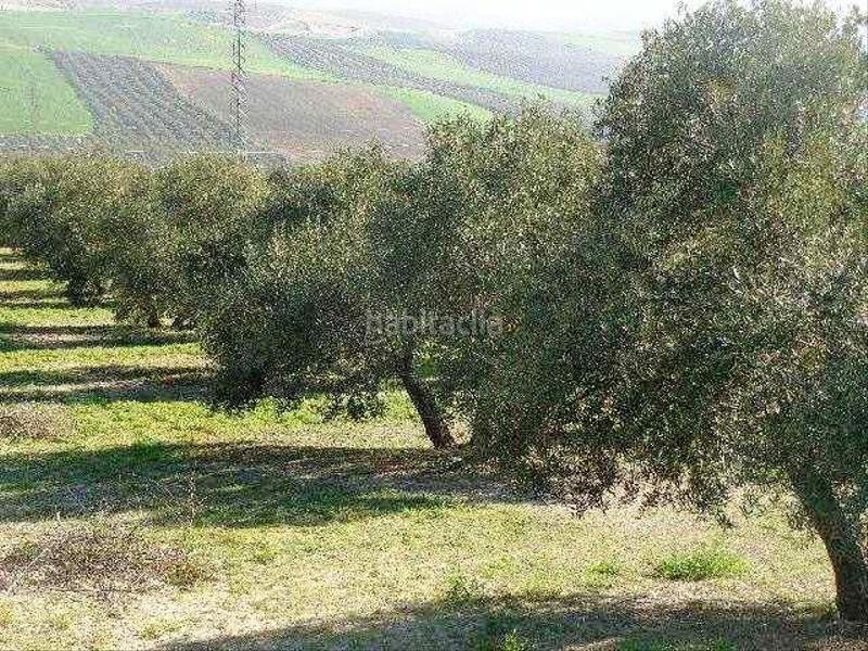Foto 93a05675-6b1d-4512-9257-2f8a946b572d. Finca rústica a La Paz - Las Américas Linares