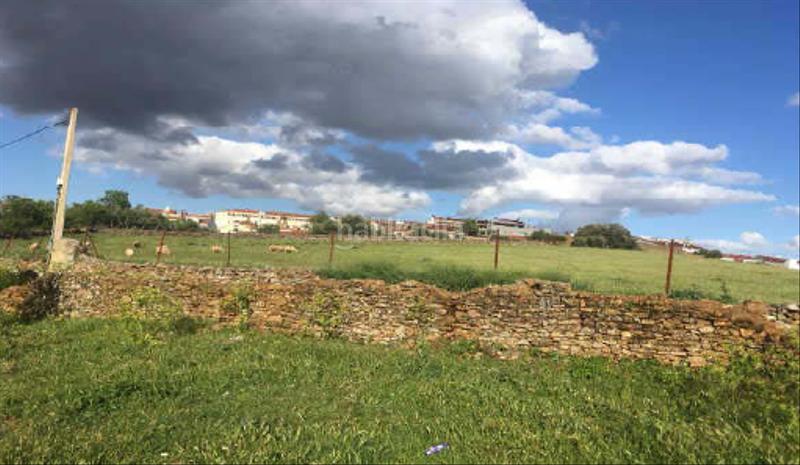 Foto 764d721f-1657-4ac6-a4b2-e8408892917f. Terrain résidentiel dans Zafra