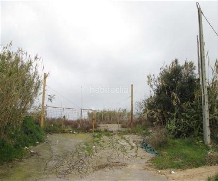 Foto f2011bff-9f9d-4e8f-86b7-e0fa1aec0eb0. Finca rústica en finca huerta santa margarita polig 7 s/n terreno en venta en Cabrera de Mar