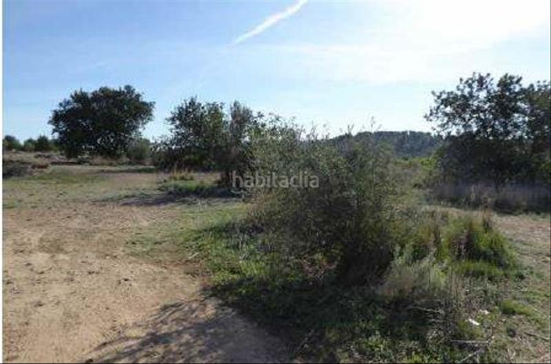 Foto 432ccdef-9a21-4432-abe4-037cb64291d5. Finca rústica terreno en venta en Algímia de Alfara