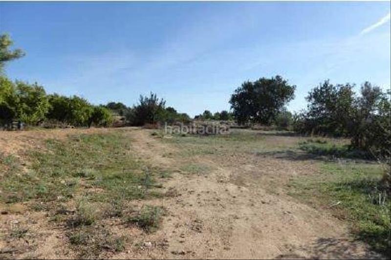 Foto 5c529dd4-75c3-418c-9e34-93b4f8fa561e. Finca rústica terreno en venta en Algímia de Alfara