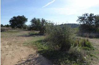 Finca rústica  9. Terreno en venta