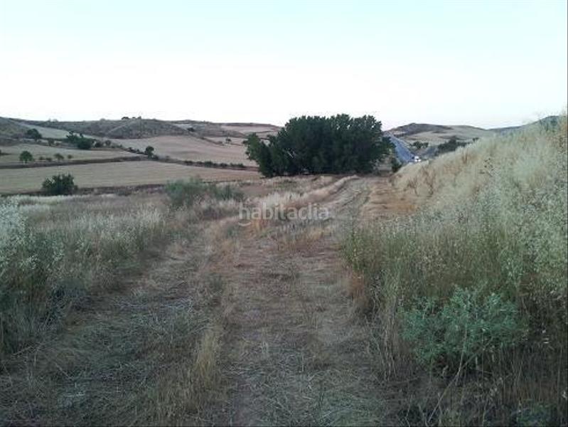 Foto 0f840f7a-19b2-4e53-9c21-5e3856163781. Terreny residencial a urbanizable 3 a Tórtola de Henares