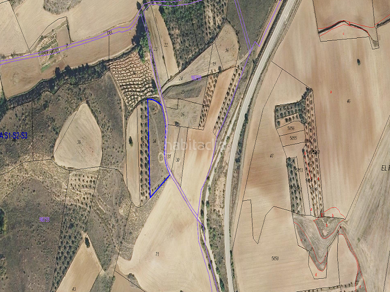 Foto 13fb7e4a-83e4-4d7b-85c4-ea8664c7c90d. Terreny residencial a urbanizable 3 a Tórtola de Henares