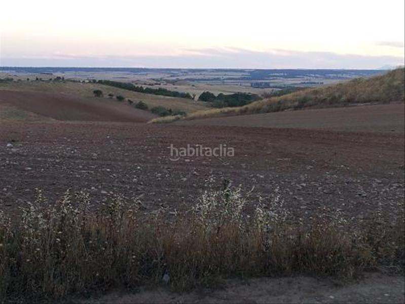 Foto 26bcf7ee-efdc-446d-b441-58569d496bda. Terreny residencial a urbanizable 3 a Tórtola de Henares