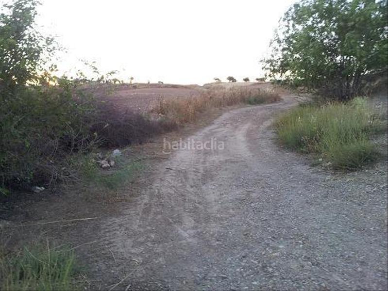 Foto 4a9ad8d0-25c6-46b3-96bc-dae60b3eea3e. Terreny residencial a urbanizable 3 a Tórtola de Henares