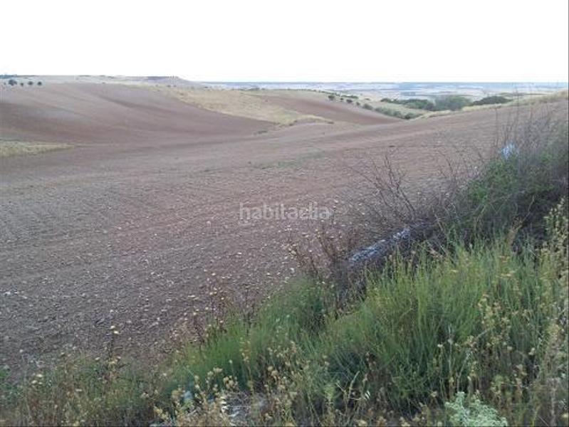 Foto 94be8591-563f-4007-a777-5ece2dc3841a. Terreny residencial a urbanizable 3 a Tórtola de Henares