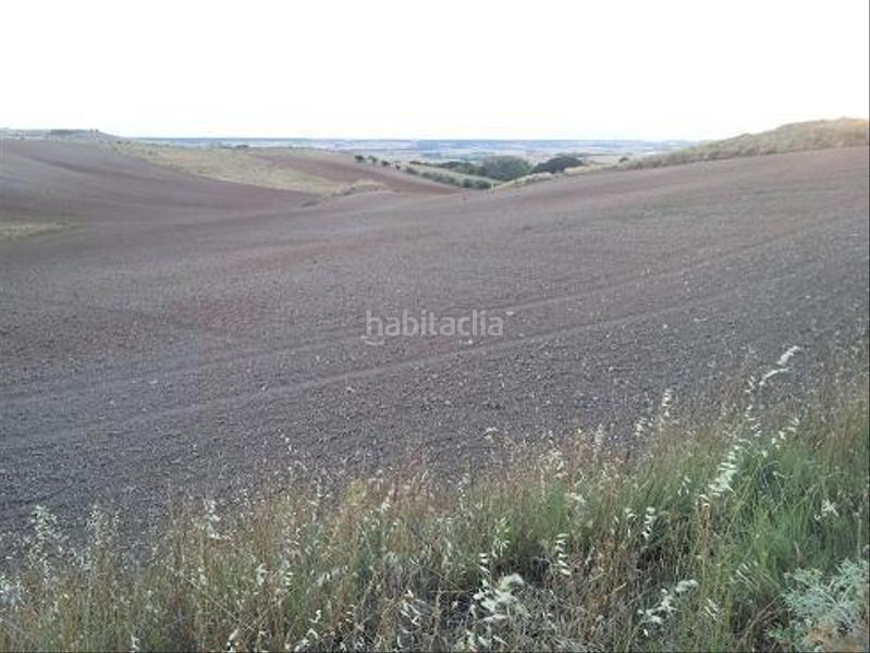 Foto bb4f5343-862a-476f-b263-3c89aa1e3c12. Terreny residencial a urbanizable 3 a Tórtola de Henares