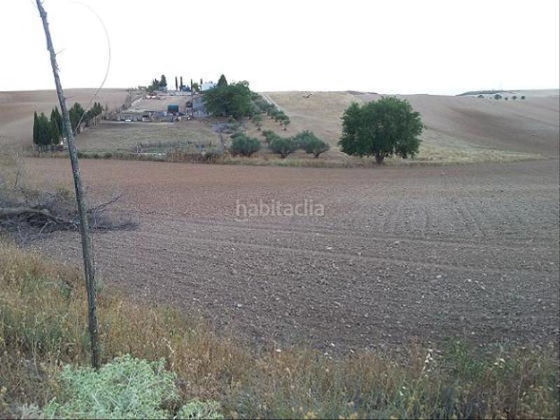 Foto c05aff82-e4df-4a34-9b45-3dda77614c51. Terreny residencial a urbanizable 3 a Tórtola de Henares