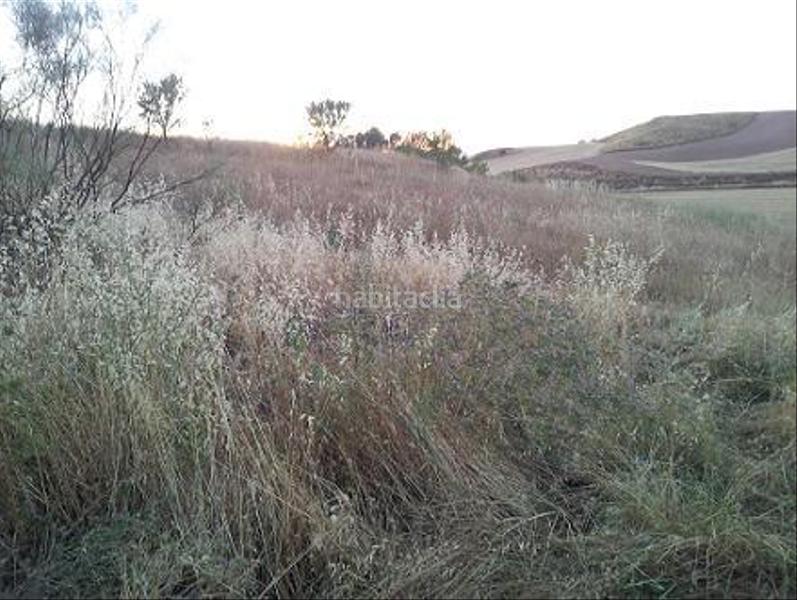 Foto ec2373f5-5ca0-4da3-b08e-85579f9291cb. Terreny residencial a urbanizable 3 a Tórtola de Henares