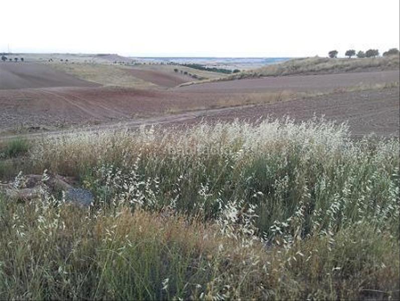 Foto fe087790-6c10-4cfb-aadf-441544c27762. Terreny residencial a urbanizable 3 a Tórtola de Henares