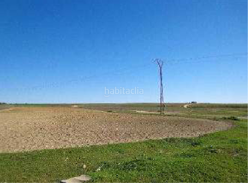 Foto c3a380df-0393-4c67-a4a3-74eed0400adc. Terreno residenziale in sa-18 s/n in Almonte Almonte