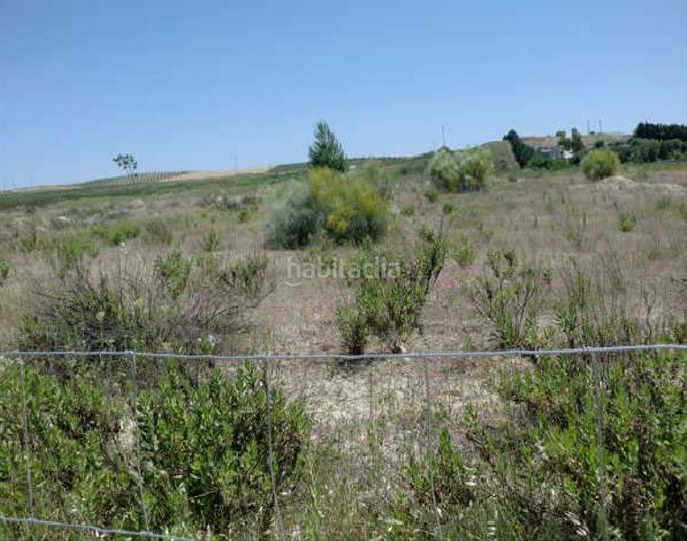 Foto ced76d2c-a528-4171-b3e6-8a22a2732d75. Terrain résidentiel dans del ajedrez s/n dans Zona Hospital Linares