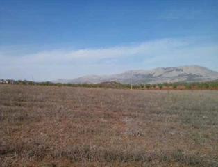 Finca rústica  Cortijo y barranco del centeno. Terreno en venta