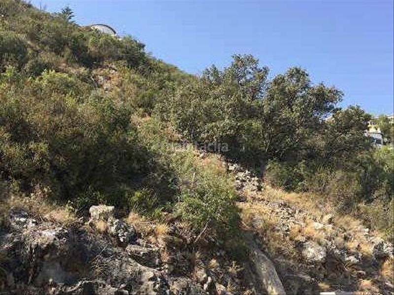 Foto 3cbc6e92-d912-4285-bcb6-eba1b73fd112. Terreny residencial a naranjos 27 a Pego