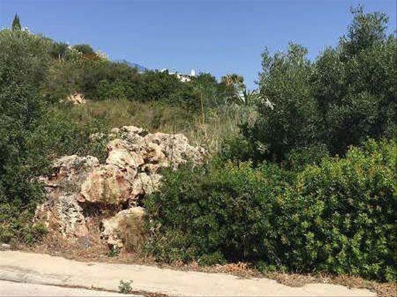 Foto 7b7e9c5a-b316-4178-bce3-121eecfedfbc. Terreny residencial a naranjos 27 a Pego