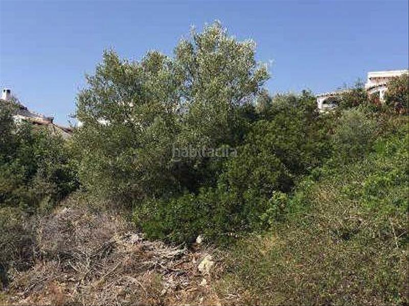 Foto cf6d2964-bcd0-411b-9b08-e153f014cc16. Terreny residencial a naranjos 27 a Pego