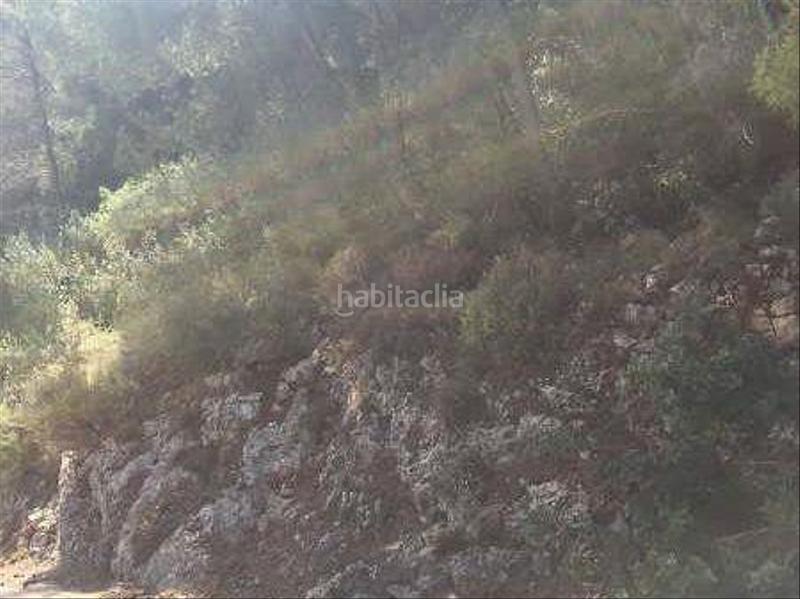 Foto 642731f1-5d07-47da-9e3f-88f104473b1e. Terreny residencial a de Pego 202 a Pego