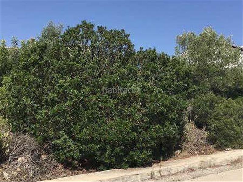 Foto c21c9c1a-845c-4bf5-8a15-67c2bb470f16. Terreny residencial a de Pego 202 a Pego