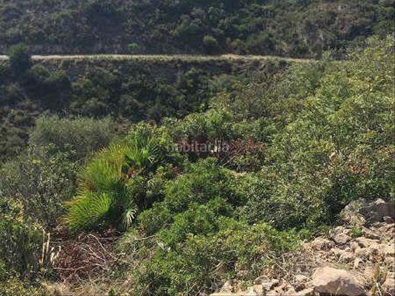 Foto ccf3d550-3f11-4b5b-8217-d39198112ed9. Terreny residencial a de Pego 202 a Pego