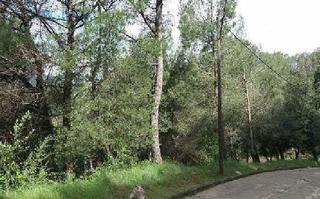 Terreny residencial a Del pins 12. Terreno en venta