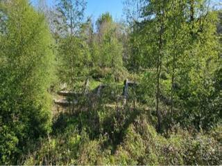 Propriété  Sitio de jedo. Terreno en venta