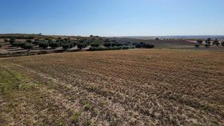 Terreno residencial en 05 /polígono 14 s/n. Terreno en venta