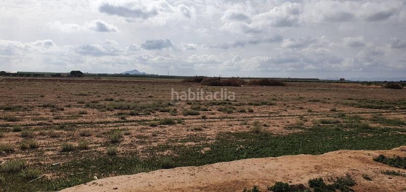 Foto 2e9bd5b2-45d9-4ba5-8b64-ec6f3c8d1ccd. Landgut in los martinez del puerto y gea y truyols s/n in Murcia