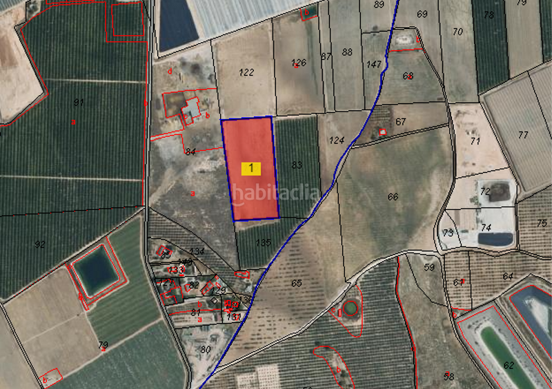 Foto 43dc617d-e45f-472d-85ce-f89cc48ab2af. Landgut in los martinez del puerto y gea y truyols s/n in Murcia