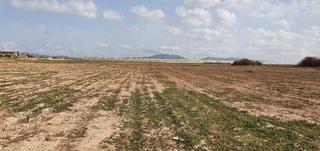 Fondo rustico in Los martinez del puerto y gea y truyols s/n. Terreno en venta