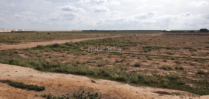 Foto 978cbefd-8028-4525-8591-8d8431cec9aa. Landgut in los martinez del puerto y gea y truyols s/n in Murcia