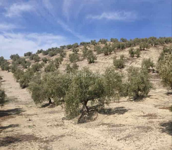 Foto 3b0a371c-3773-43c0-9d5b-399aa31e2dfd. Propriété dans Chilluévar