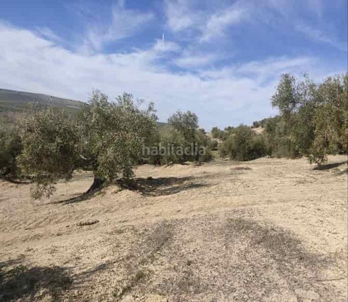 Foto a28f3872-d47d-402d-9886-236b4d4d7c23. Propriété dans Chilluévar