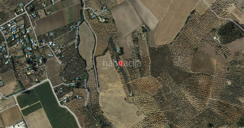 Foto 576a05ab-f7d3-4793-8311-fdde6380d9f5. Fondo rustico in Arahal