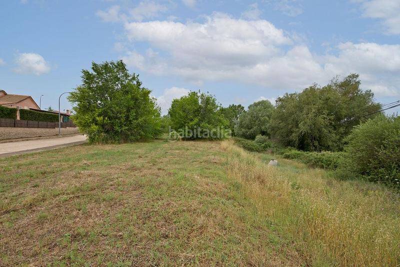 Foto 0fb1cc11-0abb-4d90-92f5-770cb7b4a0c4. Wohngrundstück in avenida de valdetorres s/n in Casar (El)