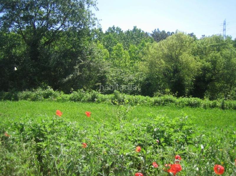 Foto 1cbb418b-8c6c-4cb7-9a75-781340ee0a15. Finca rústica a can creus a Bescanó