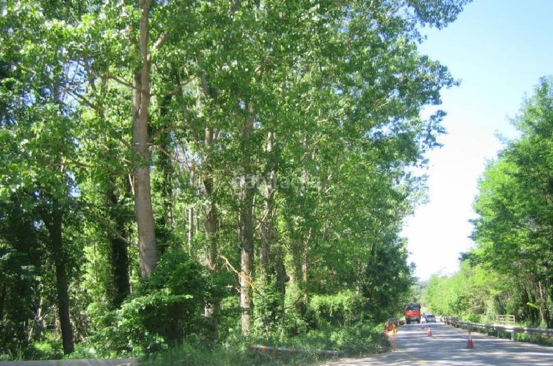 Foto fc992efc-3242-4972-bfdf-2a93bc76864f. Finca rústica a can creus a Bescanó