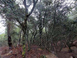 Finca rústica en Poyo gabino s/n. Terreno en venta
