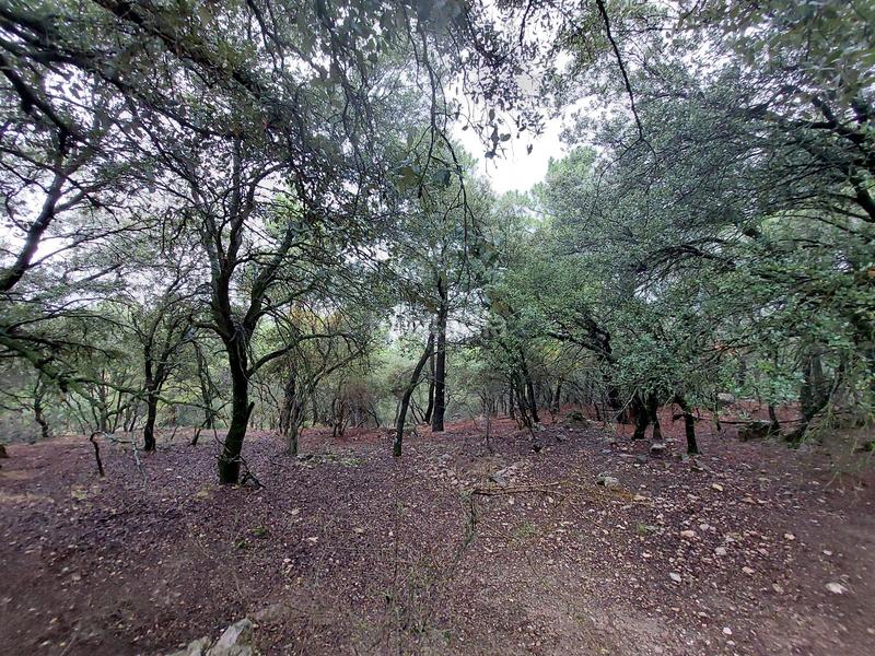 Foto c96f4f31-fb3f-4942-9cb6-bcfb91778d54. Propriété dans poyo gabino s/n dans Iruela (La)