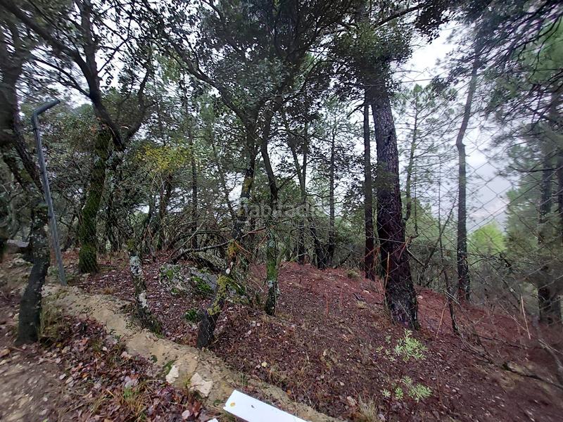 Foto e54d1520-58fe-4956-8f16-654452987dd0. Propriété dans poyo gabino s/n dans Iruela (La)